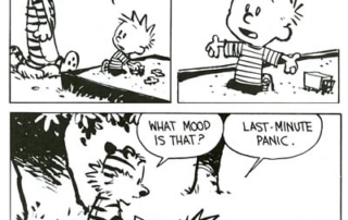 Norman-Wright-Jr-Calvin-Hobbes-Inspiration